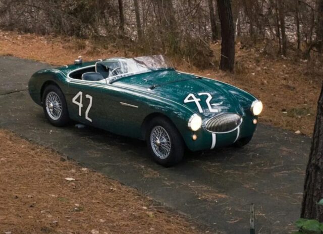 Austin-Healey_Greg_Whitten_forest