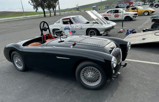 Austin-Healey_Sikes_paddock