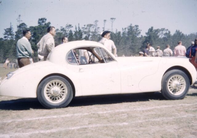 White Jag